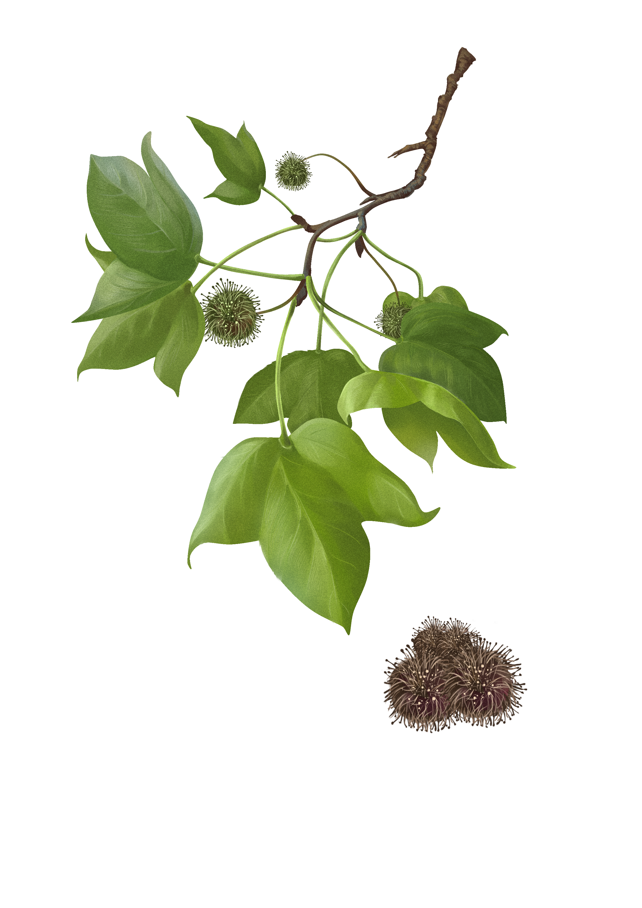 [路路通]-人卫中医助手-中国临床决策辅助系统-人卫智数-人民卫生出版