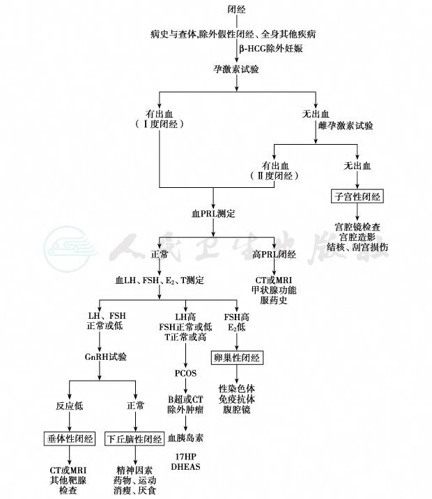[闭经]-人卫中医助手-中国临床决策辅助系统-人卫智数-人民卫生出版社