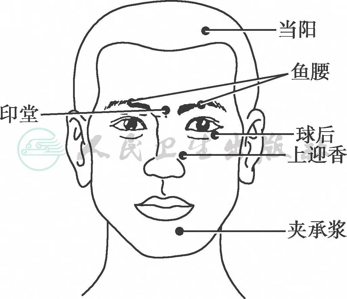 [夹承浆]-人卫中医助手-中国临床决策辅助系统-人卫智数-人民卫生出版社
