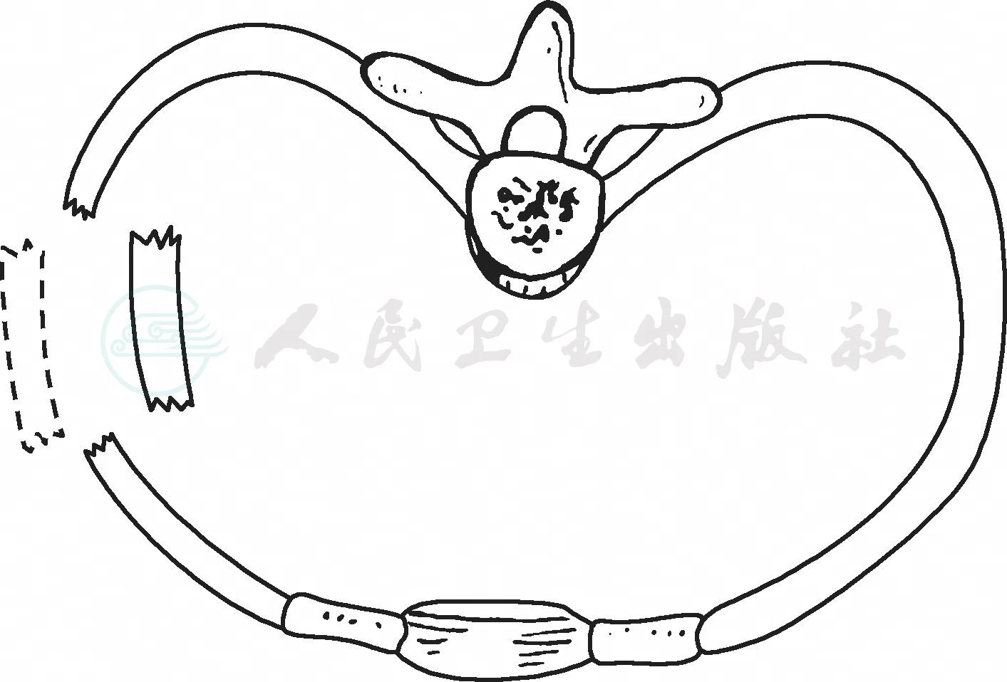 默认分类